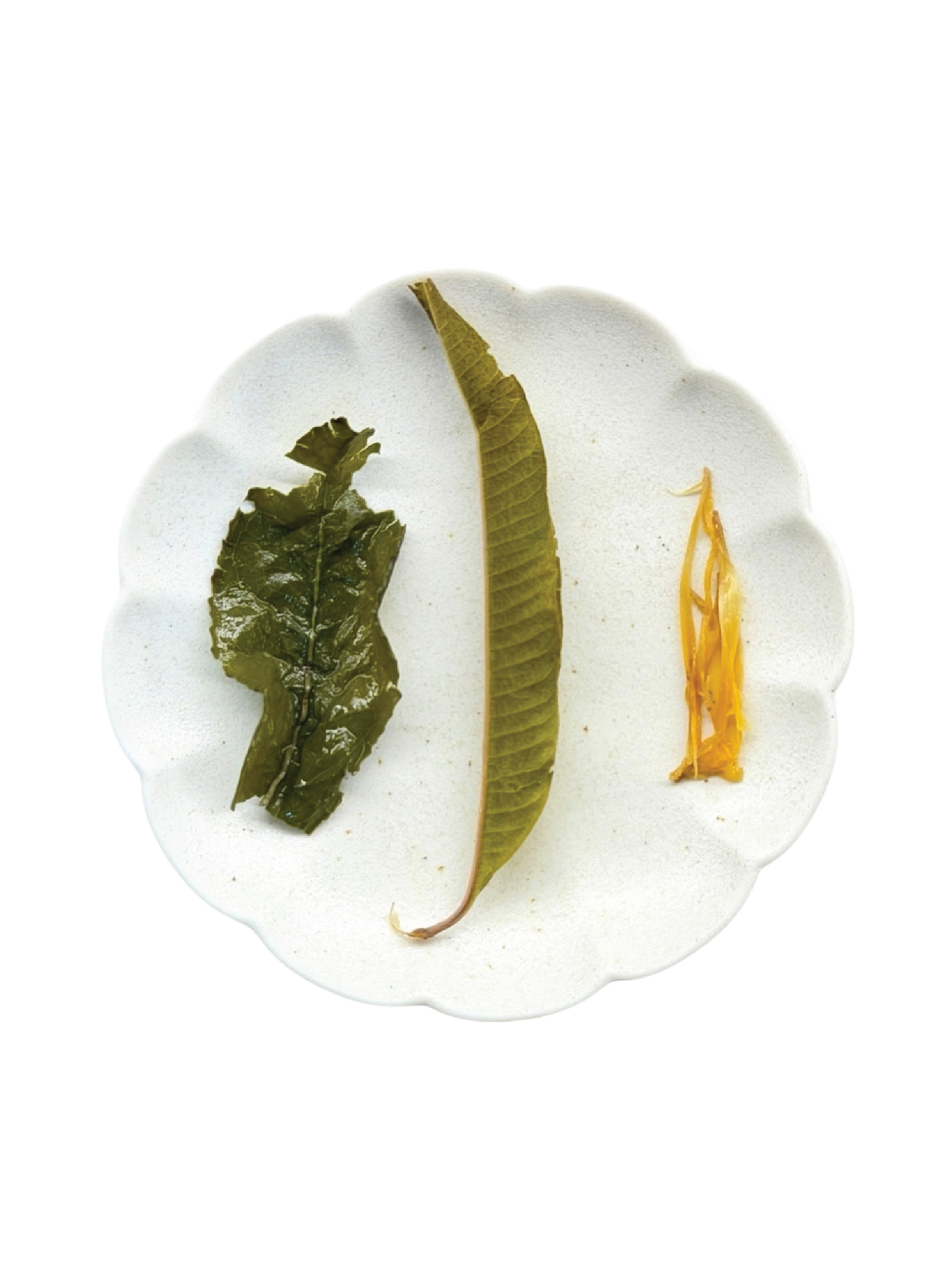 Fragrant Tie Guan Yin blended with Marigold and Lemon Verbena - showcasing its wet leaves (all whole leaves). 
