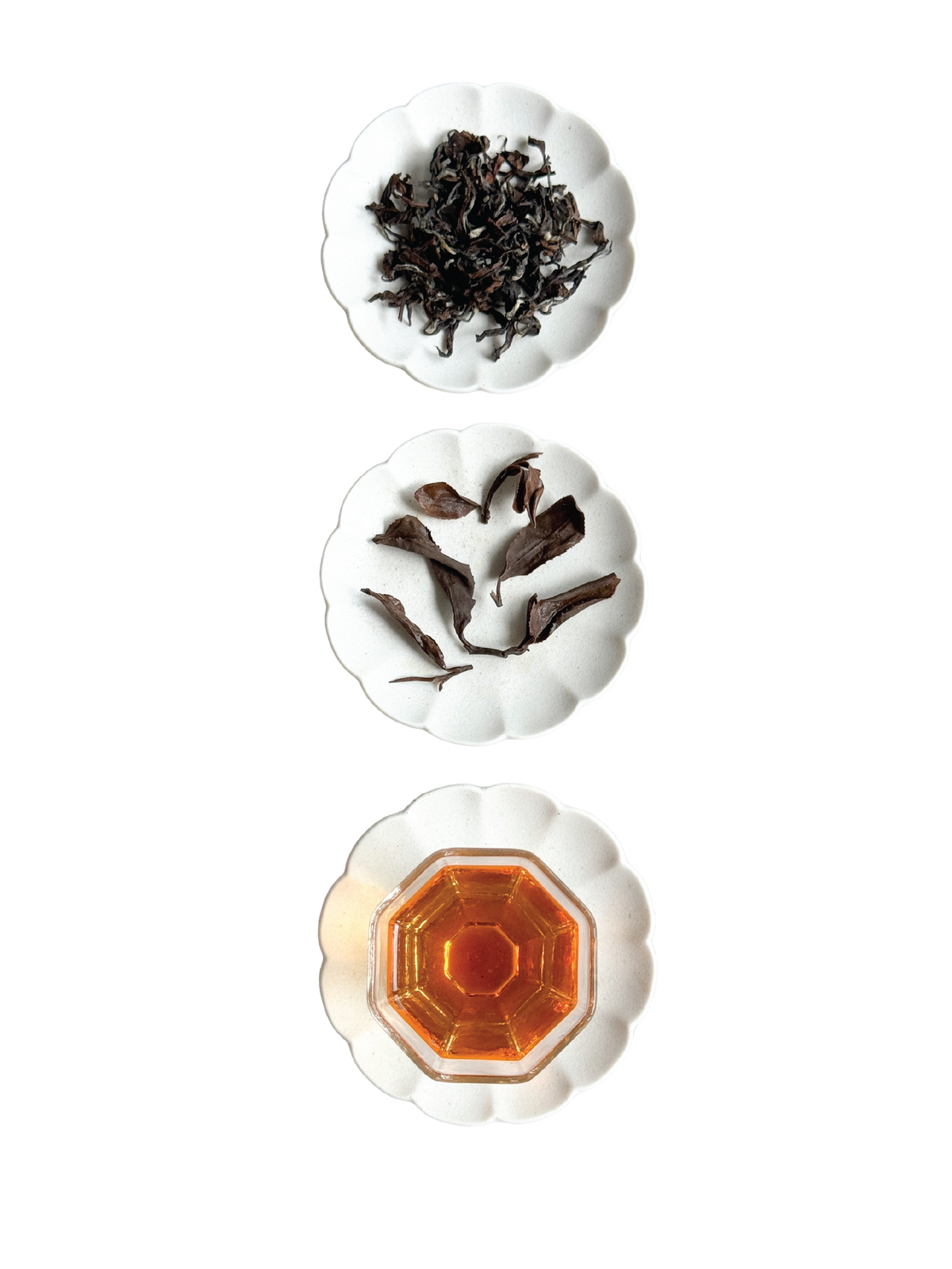 Features the dry leaves, wet leaves and caramel golden infusion.