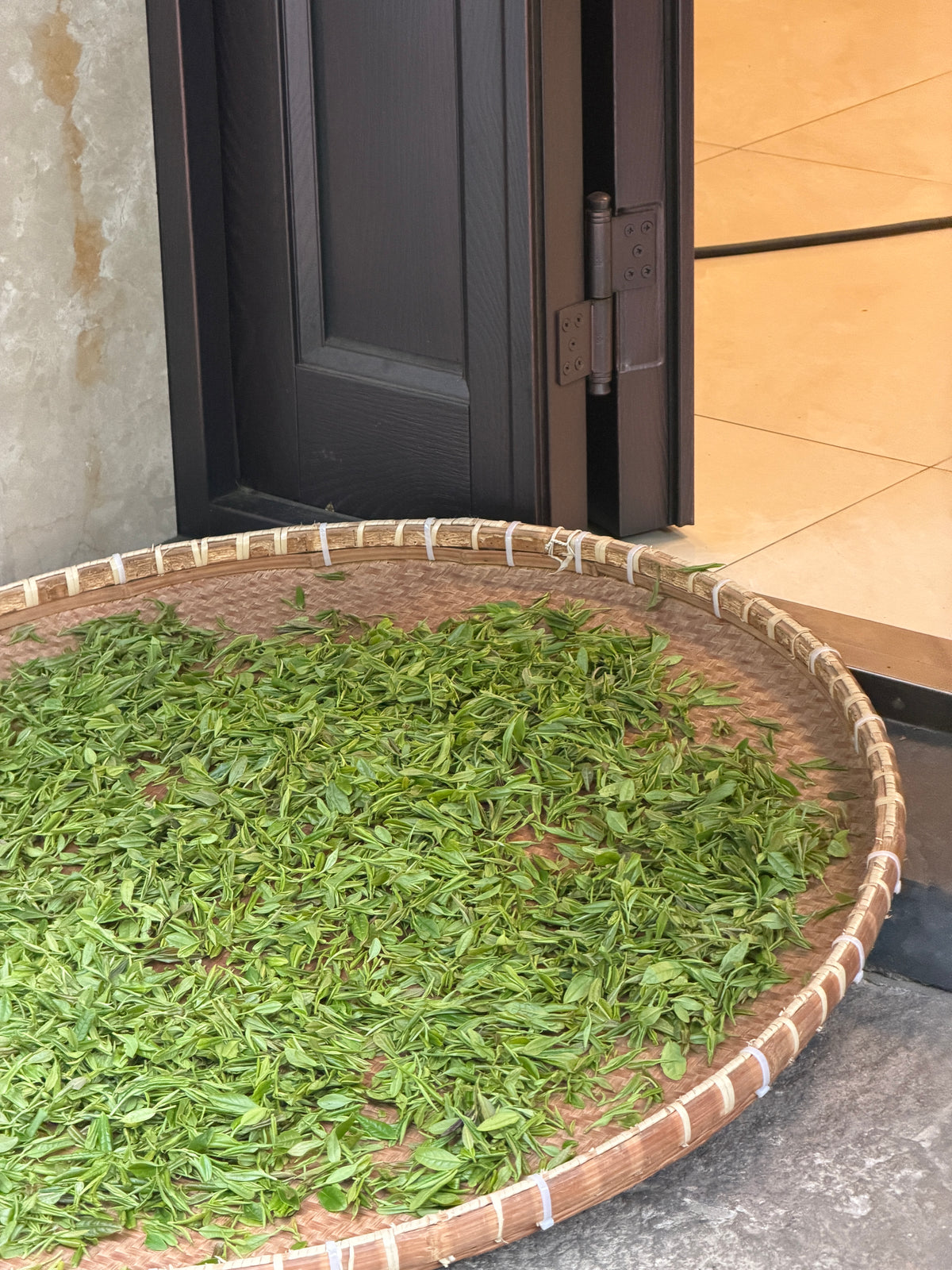 Fresh Longjing leaves drying out in the open.